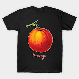 Fruit Identiy, Orange T-Shirt